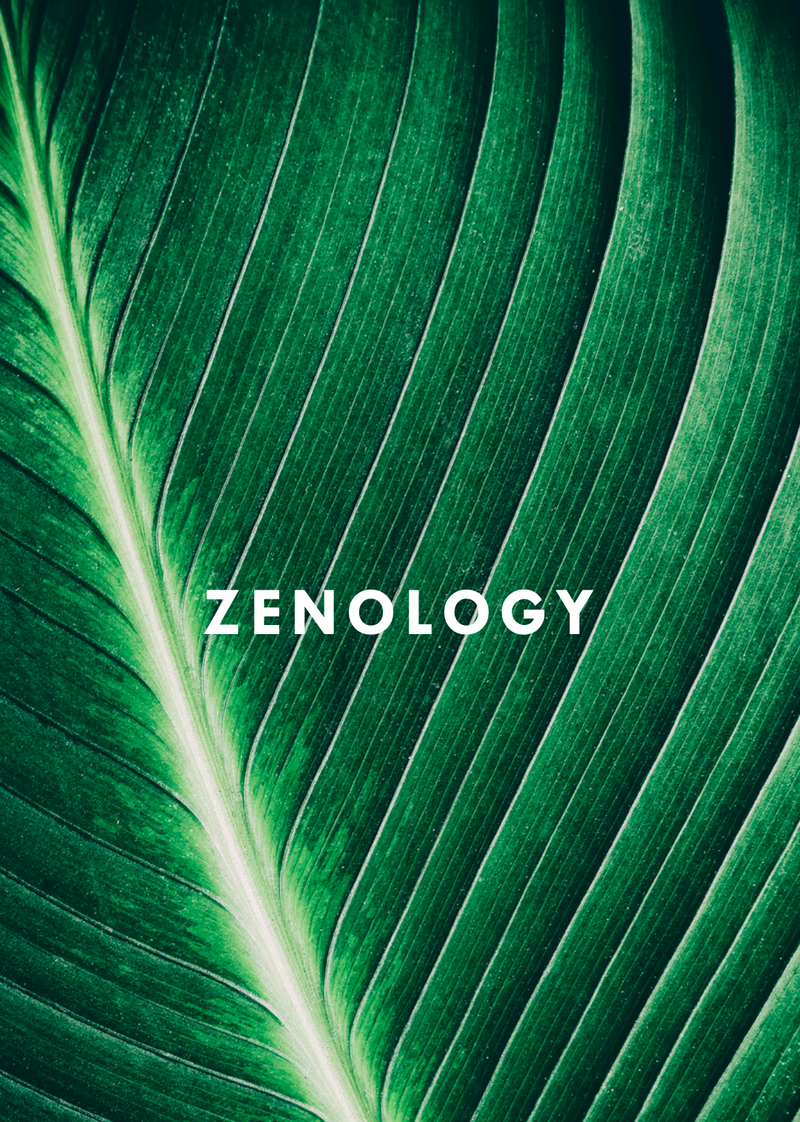 Zenology
