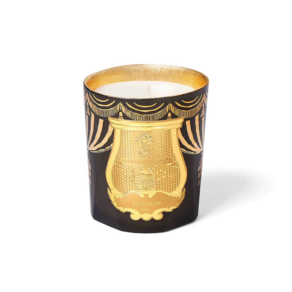Fir Christmas bougie 2024 - Trudon
