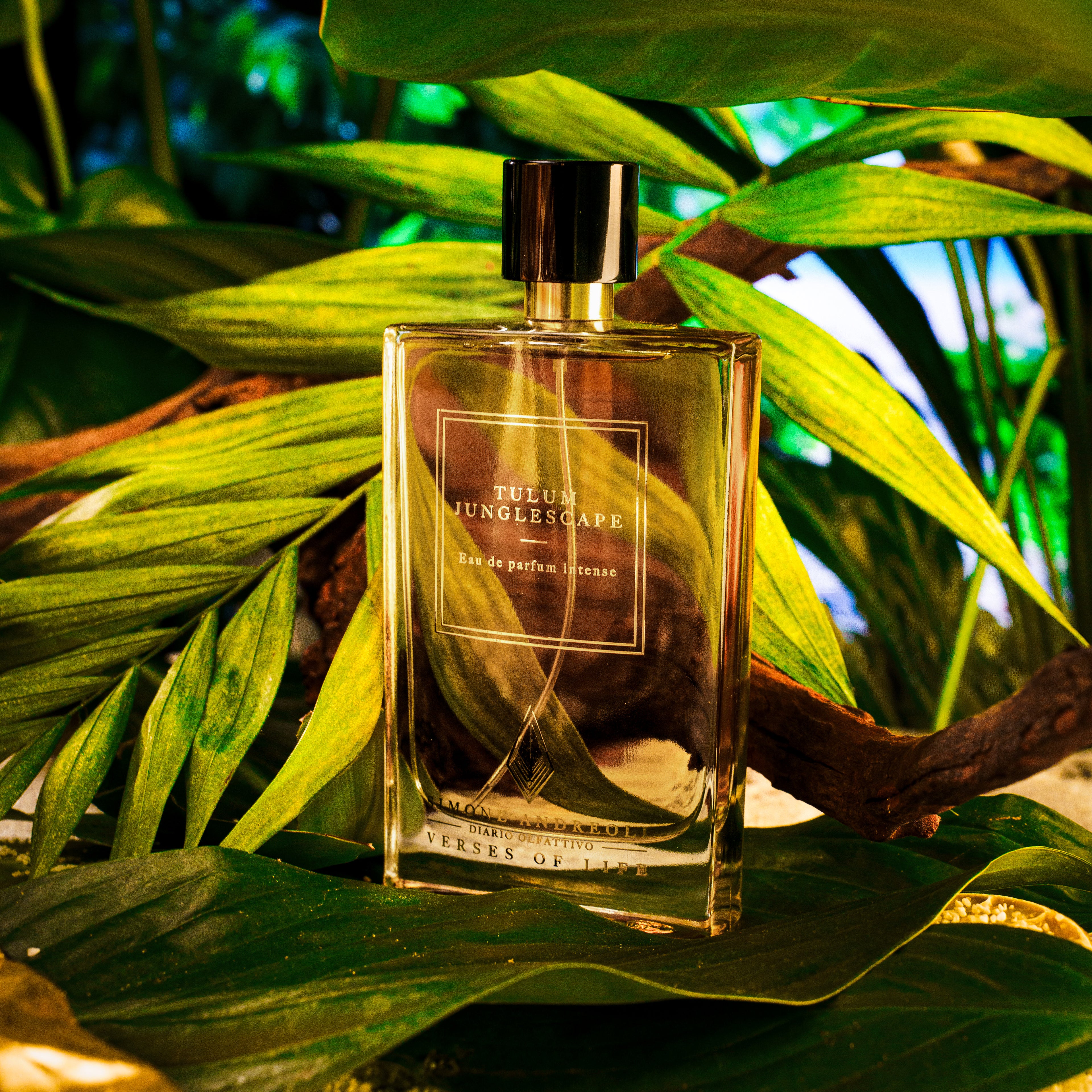 Tulum Junglescape - Simone Andreoli