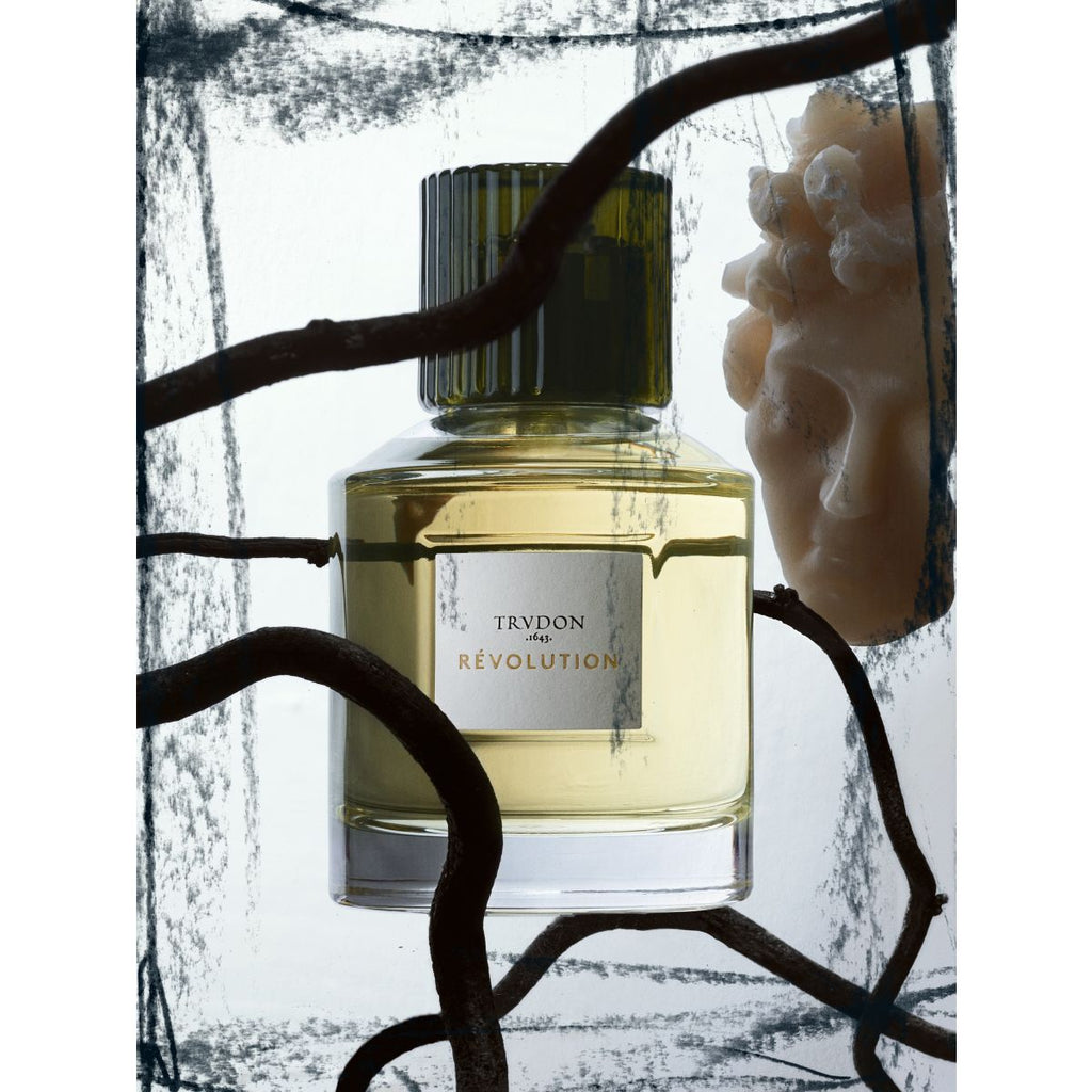 Revolution - Trudon 1643